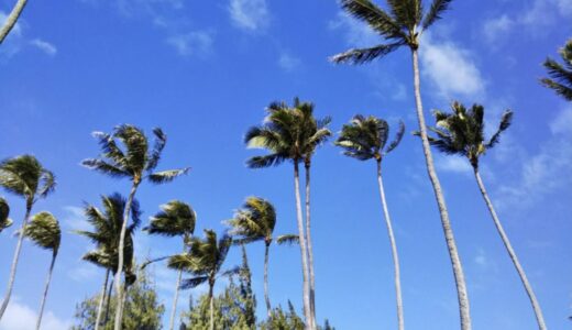 ハワイワイキキサーフィンDay3(2019)