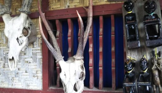 ロンボクサーフトリップ Day 5（2019年）