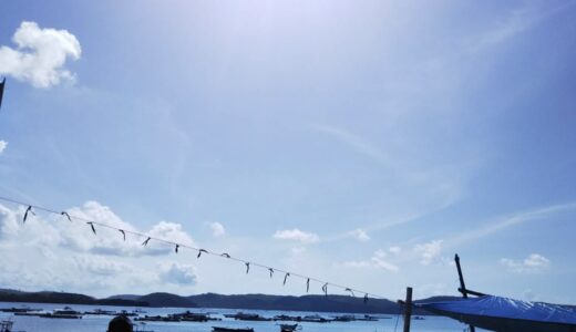 ロンボクサーフトリップDay3（2019年）